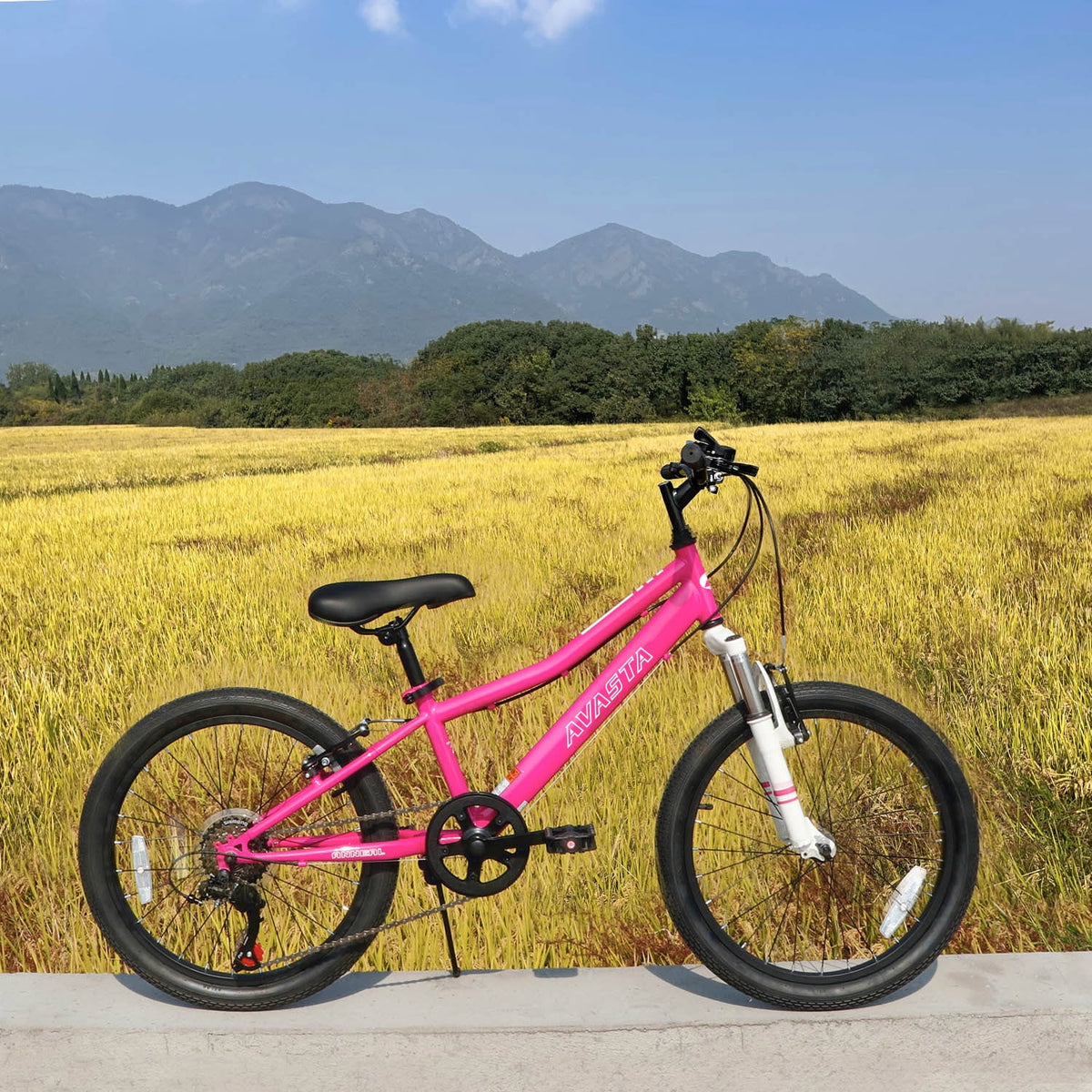 AVASTA 20'' Big Kids Mountain Bike for Age 6 7 8 9 10 11 12 Years Old Boys Girls Teen with Suspension Fork - Product image 29