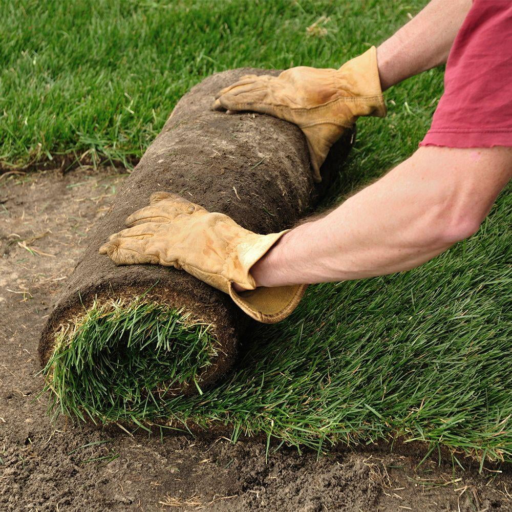 Centipede 500 Sq. Ft. Sod Pallet - Product image 3