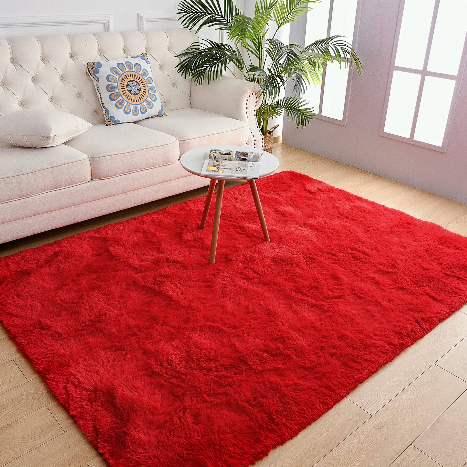 Chicrug Soft Area Rug for Bedroom Living Room Plush Fluffy Rug 3x5 Feet - Product image 1