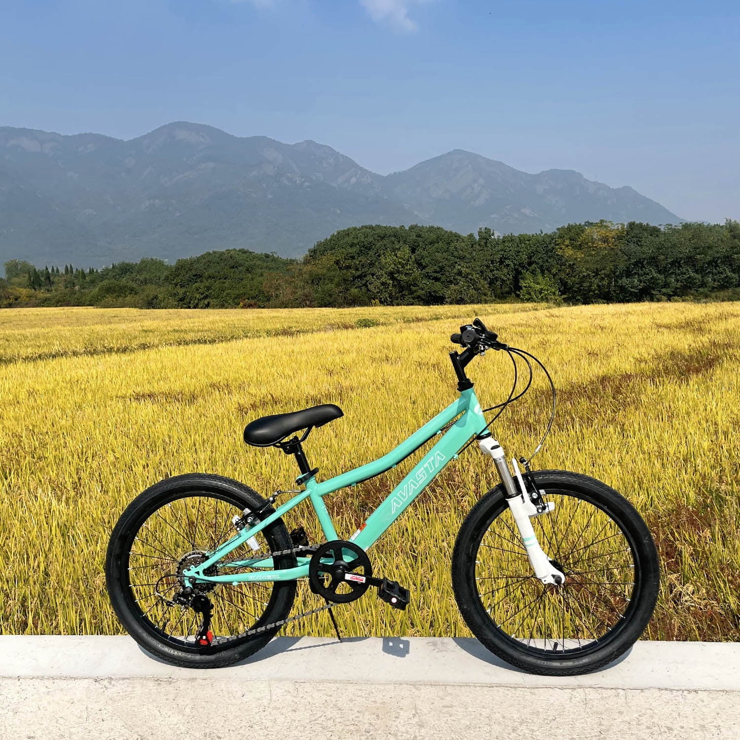 AVASTA 20'' Big Kids Mountain Bike for Age 6 7 8 9 10 11 12 Years Old Boys Girls Teen with Suspension Fork - Product image 30