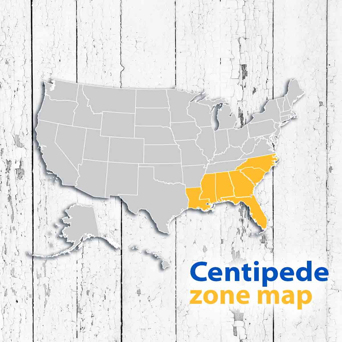 Centipede 500 Sq. Ft. Sod Pallet - Product image 2